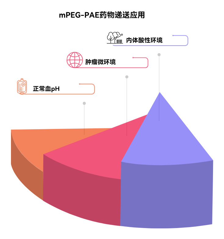 mPEG-PAE：甲氧基聚乙二醇-聚（&beta;-氨基酯）的pH响应性药物递送系统