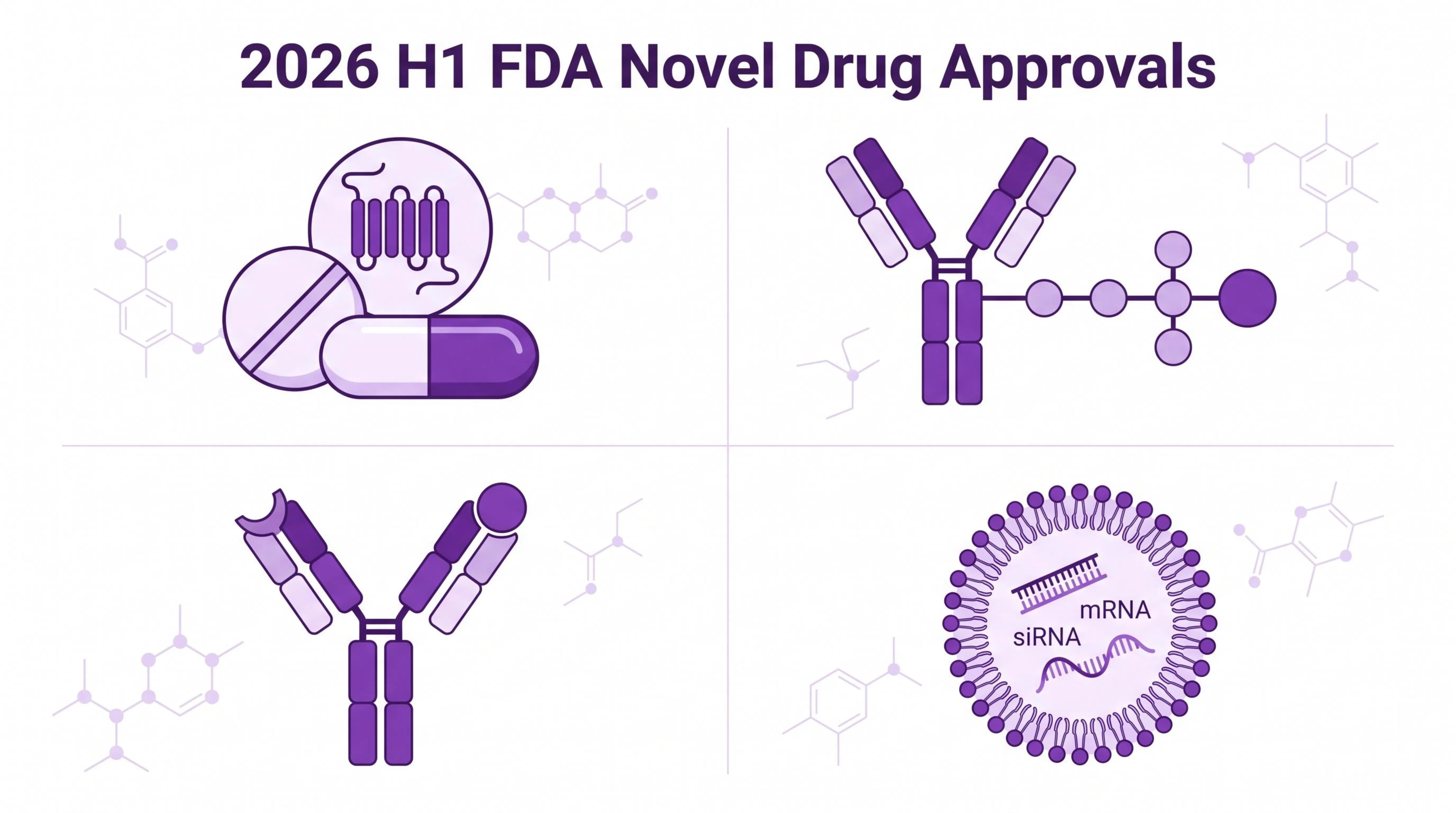 2026 H1 FDA 批准新药盘点：小分子/ADC/双抗/小核酸四类全景速读
