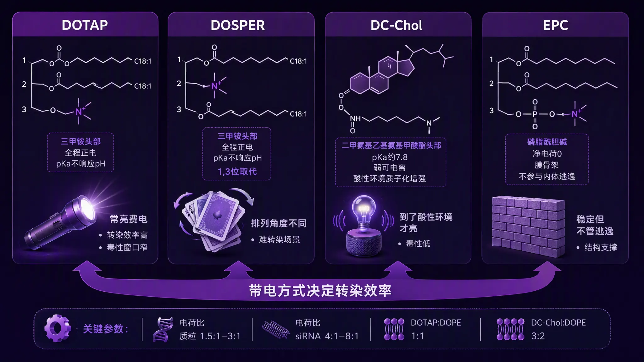 DOTAP 转染效率全景：四款阳离子脂质选型