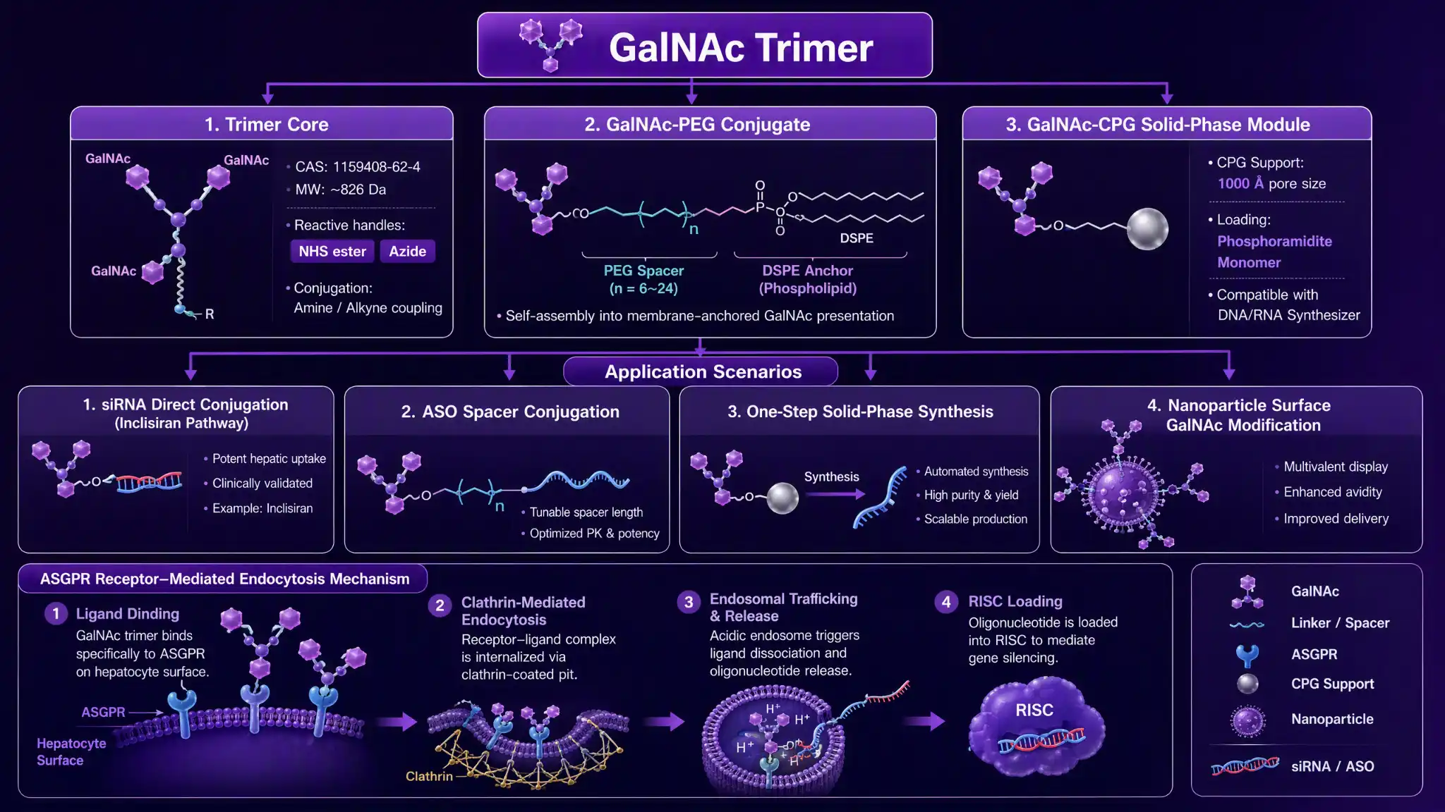 GalNAc 三聚体三件套：肝靶向寡核苷酸偶联关键