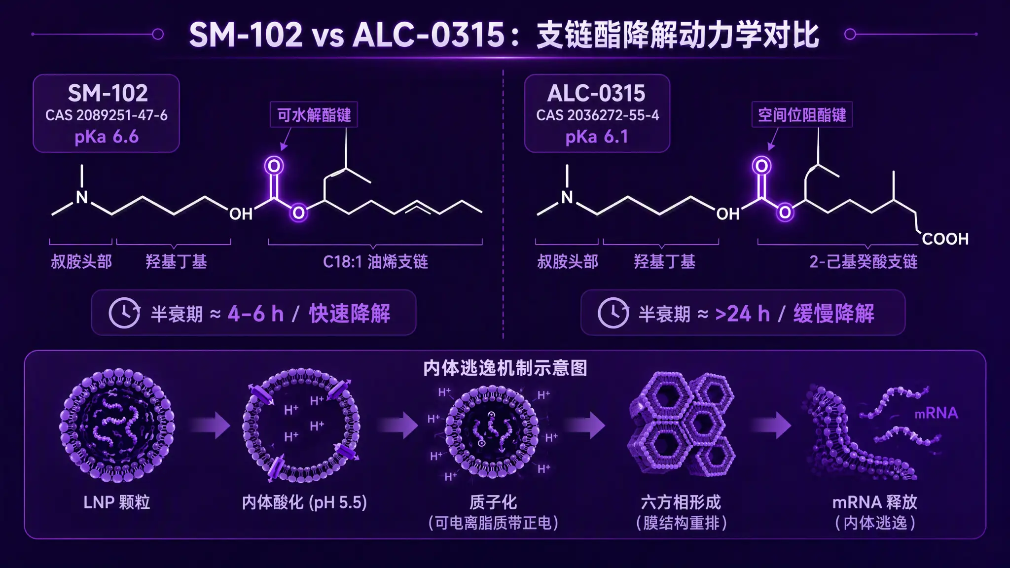 SM-102 与 ALC-0315 结构对比图：左侧 SM-102 含酯键可电离头与 C18:1 烯基支链；右侧 ALC-0315 含叔胺头与支链酯键结构，pKa 6.6 vs 6.1
