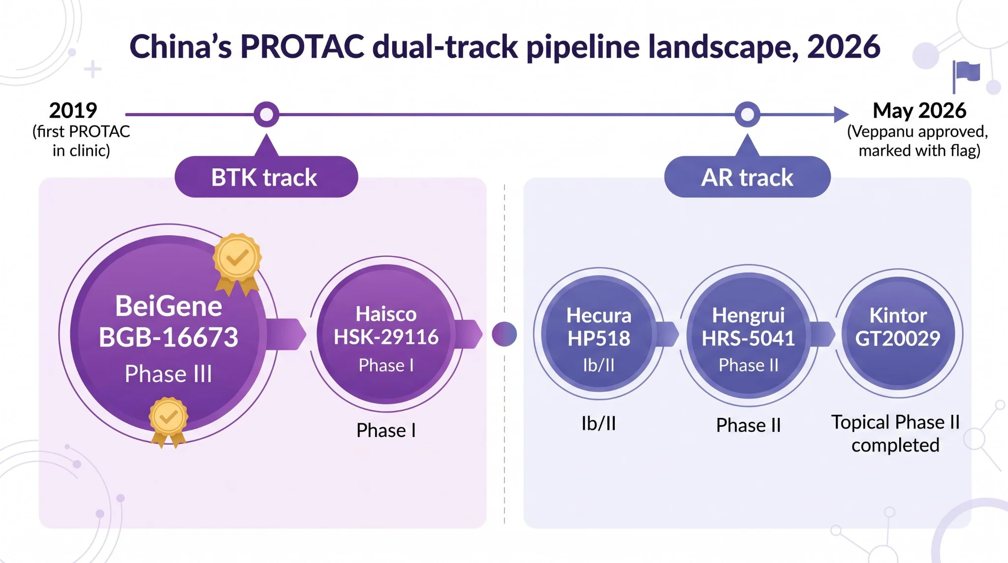 国内 PROTAC 双赛道 2026 管线全景图：BTK 赛道百济神州 BGB-16673 领跑 III 期、海思科 HSK-29116 I 期跟进；AR 赛道海创药业 HP518 Ib/II 期、恒瑞 HRS-5041 II 期、开拓药业 GT20029 外用 II 期完成，国际参照 Arvinas ARV-110 II 期与 Veppanu 2026 年 5 月获批