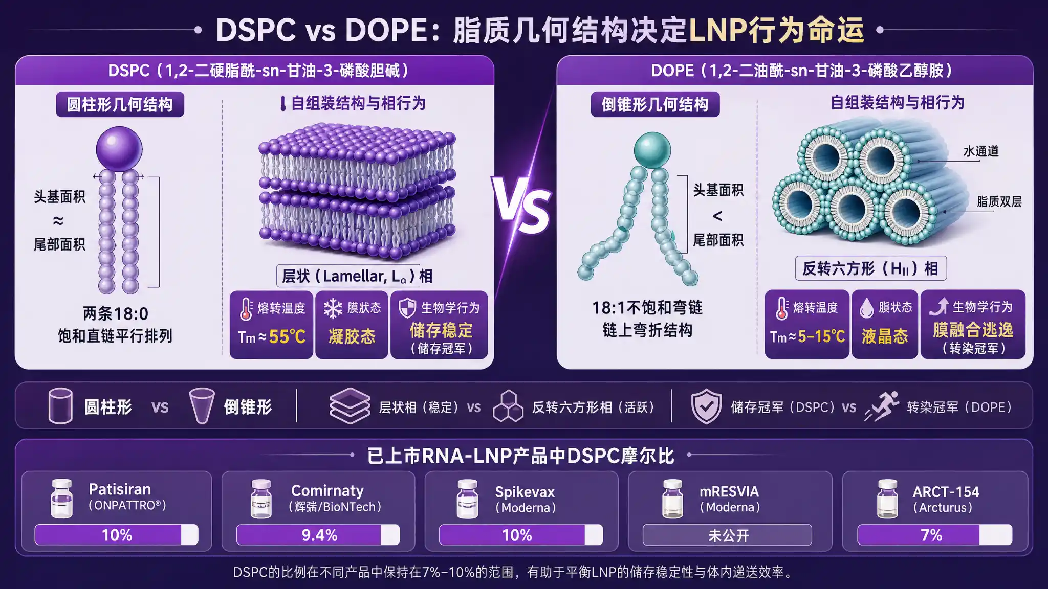 DSPC：LNP 配方里"沉默的骨架"