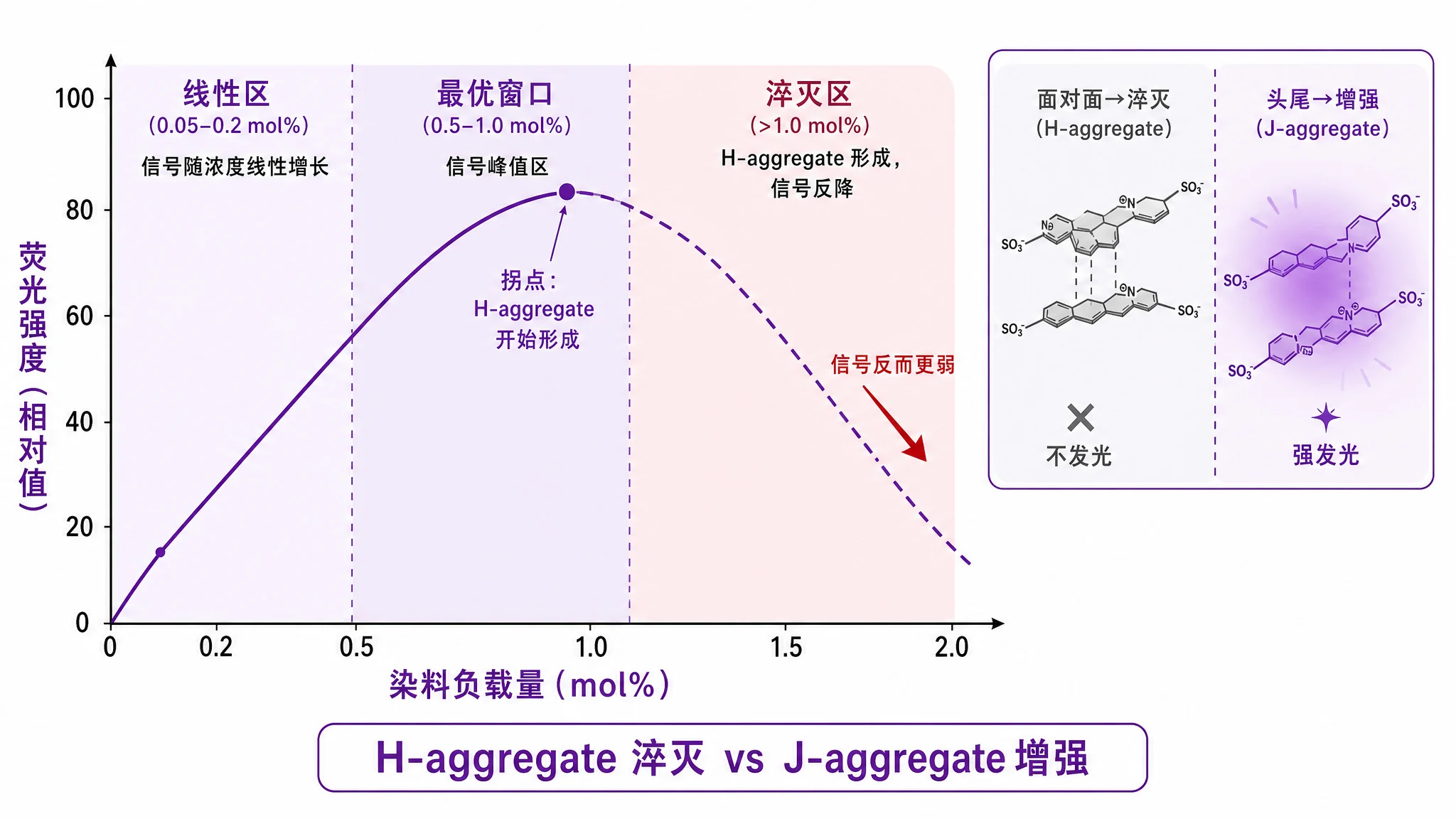 Cy7标记PEG胶束体内成像信号弱怎么办？三个信号丢失陷阱与五步选型决策