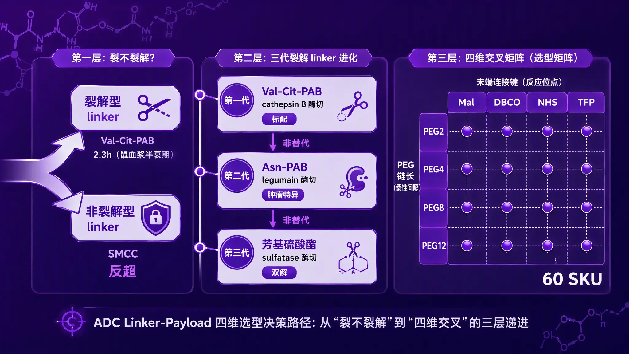 Val-Cit-PAB真是ADC linker的最优标配吗？从鼠血浆2.3小时到非裂解反超的选型决策