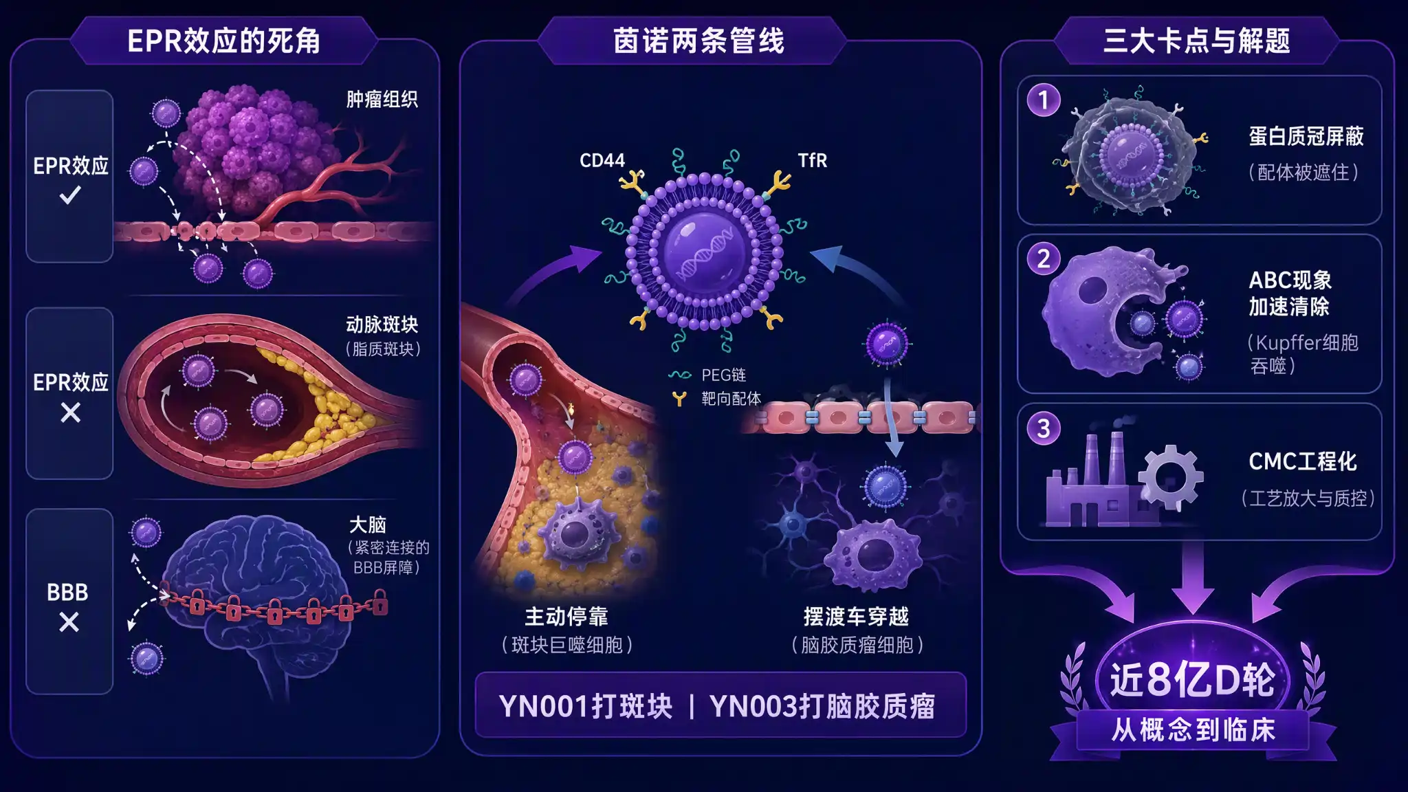 主动靶向脂质体穿透动脉斑块与血脑屏障示意图：左区EPR效应死角，中区CD44与TfR双管线主动停靠，右区蛋白质冠ABC现象CMC三大卡点