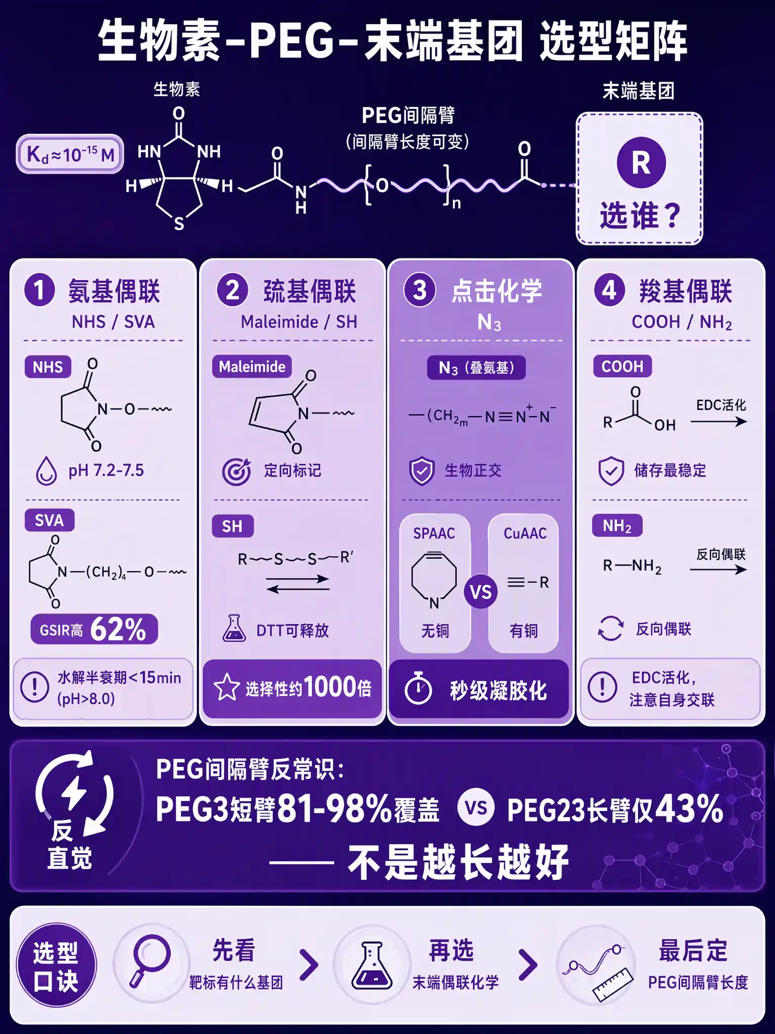 Biotin-PEG六种末端选哪个？靶标基团决定偶联化学的选型决策