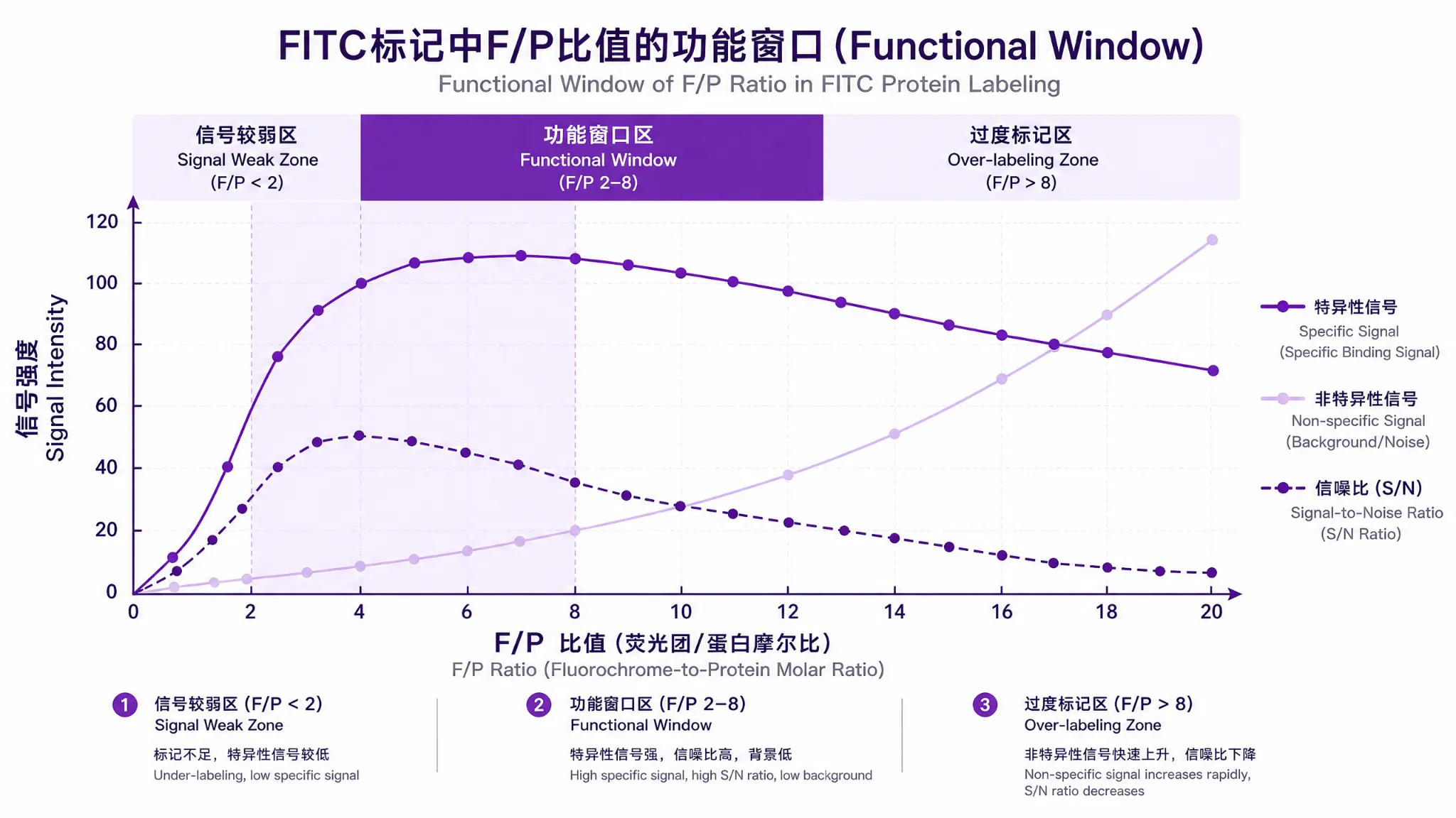 FITC标记蛋白F/P比功能窗口曲线图：特异性信号先升后缓降、非特异性信号持续上升、信噪比先升后降峰值在F/P 3-5处